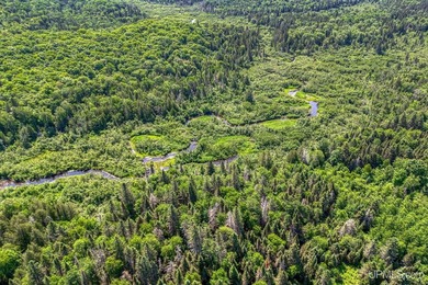 This 120-acre property is situated within the Ottawa National - photo 17