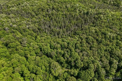 This 120-acre property is situated within the Ottawa National - photo 21