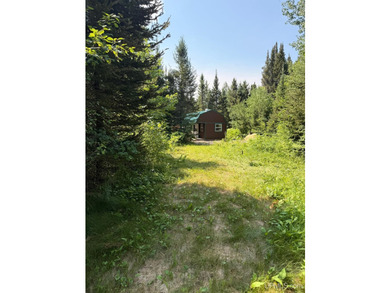 This 120-acre property is situated within the Ottawa National - photo 27