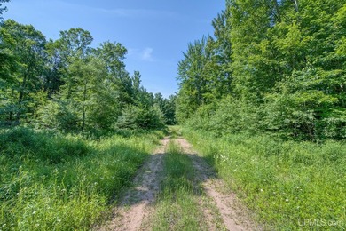 This 120-acre property is situated within the Ottawa National - photo 30