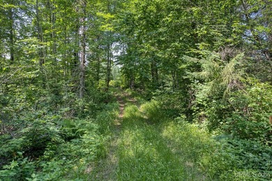 This 120-acre property is situated within the Ottawa National - photo 35