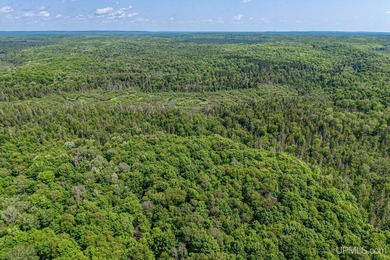 This 120-acre property is situated within the Ottawa National - photo 36