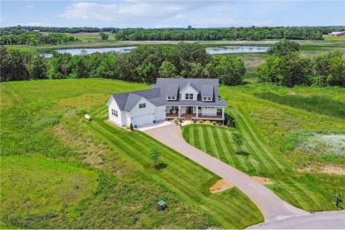 Lake Home For Sale in Franklin Twp, Minnesota