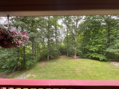 Raccoon Lake, Lake Access - photo 6