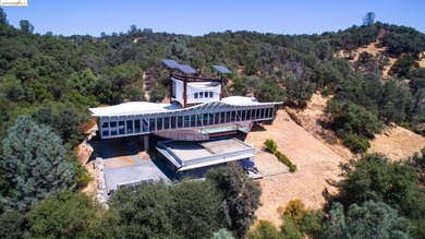 The Shipwreck House: inspired by the serpentine profiles found - photo 2