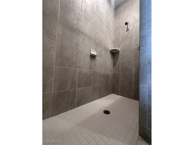 READY NOW!! BRAND NEW HOME!! Impressive Cornerstone Series with - photo 4