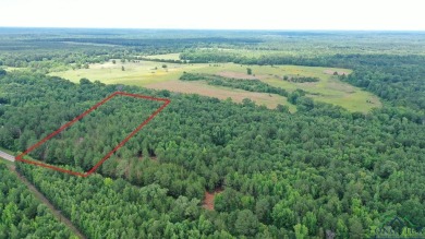 This stunning 8.42-acre property is ready and waiting for your - Lake Acreage For Sale in Jefferson, Texas