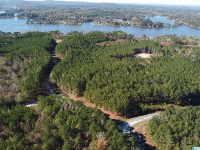 Looking for the perfect place to build your dream home? This - photo 11