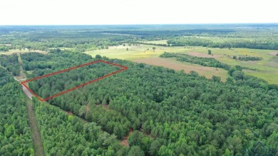 This property offers a fantastic location to build a new home! - Lake Acreage For Sale in Jefferson, Texas