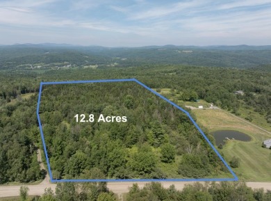(private lake, pond, creek) Acreage For Sale in Wolcott Vermont