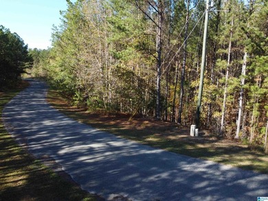 Looking for the perfect place to build your dream home? This - photo 14