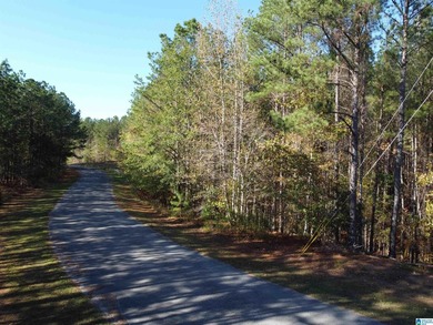 Looking for the perfect place to build your dream home? This - photo 15