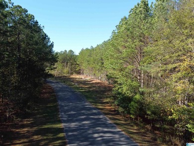 Looking for the perfect place to build your dream home? This - photo 16