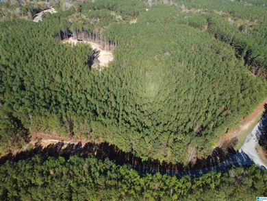 Looking for the perfect place to build your dream home? This - photo 17