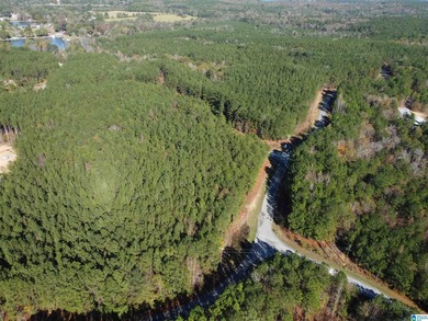 Looking for the perfect place to build your dream home? This - photo 18