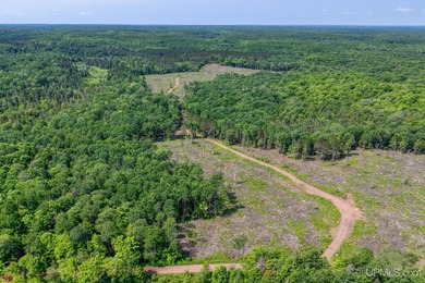 This 240-acre property is located within the Ottawa National - photo 22