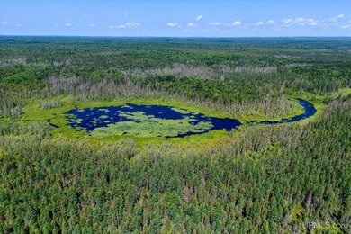 This 240-acre property is located within the Ottawa National - photo 24