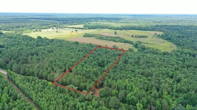 Lake Acreage For Sale in Jefferson, Texas