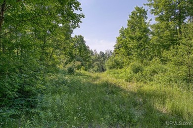 This 240-acre property is located within the Ottawa National - photo 33