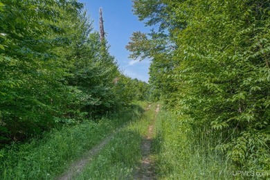 This 240-acre property is located within the Ottawa National - photo 34