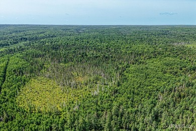 This 240-acre property is located within the Ottawa National - photo 39