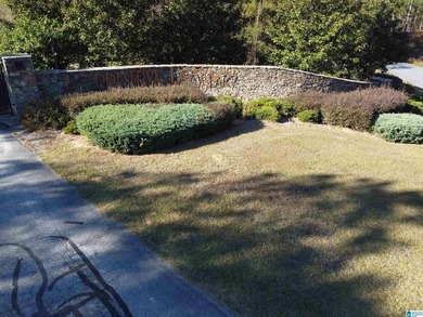 Looking for the perfect place to build your dream home? This - photo 40