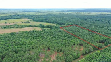 Your Own Slice of East Texas Paradise! Discover 8.6 acres of - Lake Acreage For Sale in Jefferson, Texas