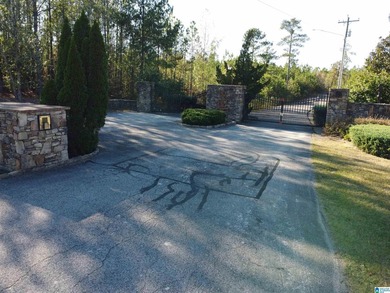 Looking for the perfect place to build your dream home? This - photo 43