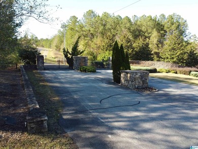 Looking for the perfect place to build your dream home? This - photo 44