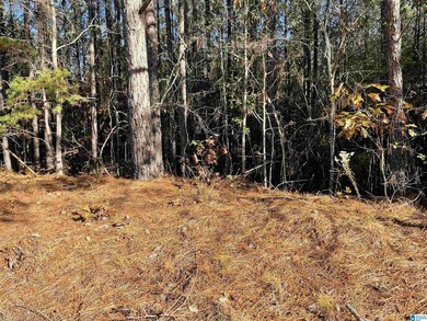 Looking for the perfect place to build your dream home? This - photo 46