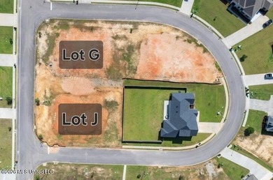 PRICE REDUCED!! Build Your Dream Home in Hidden Springs - - photo 4
