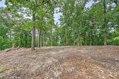 Enjoy breathtaking acreage showcasing mature hardwoods and - photo 4