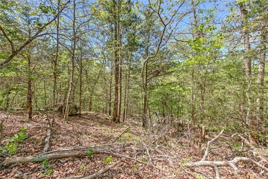 Enjoy breathtaking acreage showcasing mature hardwoods and - photo 5