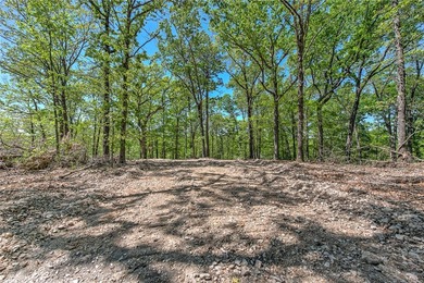 Enjoy breathtaking acreage showcasing mature hardwoods and - photo 6