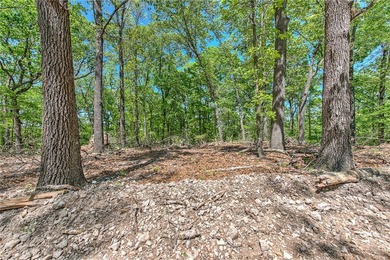 Enjoy breathtaking acreage showcasing mature hardwoods and - photo 7