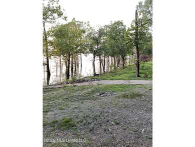-18-20 feet off of the ground -3 Bedrooms -2 Full Baths - photo 7