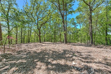 Enjoy breathtaking acreage showcasing mature hardwoods and - photo 8