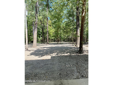 -18-20 feet off of the ground -3 Bedrooms -2 Full Baths - photo 8