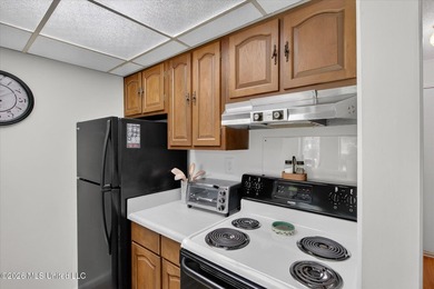 Lower level one bedroom condo offered with the furnishings - photo 14