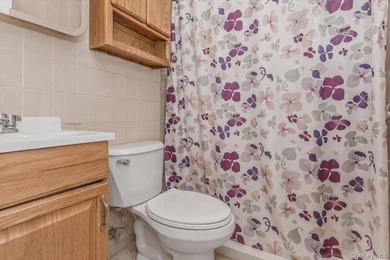 Welcome to 42 Larch Street in Hicksville, a well-maintained cape - photo 17