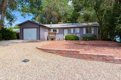 Colorado River Home For Sale in Palisade Colorado