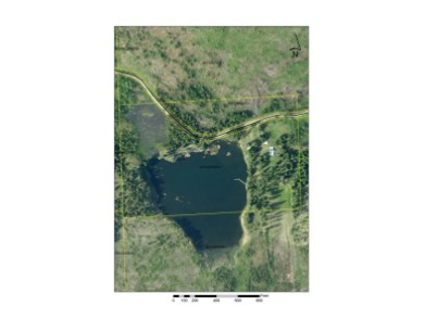 Baker Lake Washington / 39 acres - photo 3