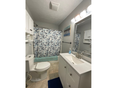Raccoon Lake, Lake Access - photo 15