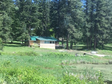 Baker Lake Washington / 39 acres - photo 8
