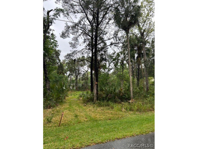 Build your dream home in Old Homosassa on this .47 acre cleared - photo 1
