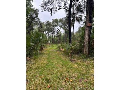 Build your dream home in Old Homosassa on this .47 acre cleared - photo 2