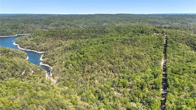 Enjoy breathtaking acreage showcasing mature hardwoods and - photo 3