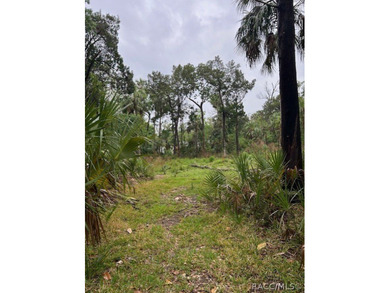 Build your dream home in Old Homosassa on this .47 acre cleared - photo 3