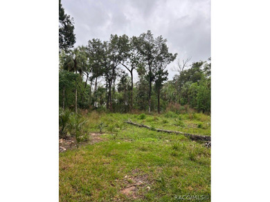 Build your dream home in Old Homosassa on this .47 acre cleared - photo 5