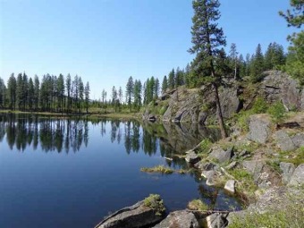 Private Lake on 39 acres - Lake Home For Sale in Newport, Washington